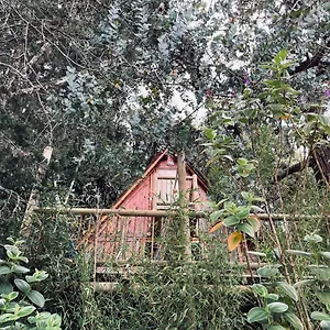 https://santa-casa.colombiamedellinhotels.com